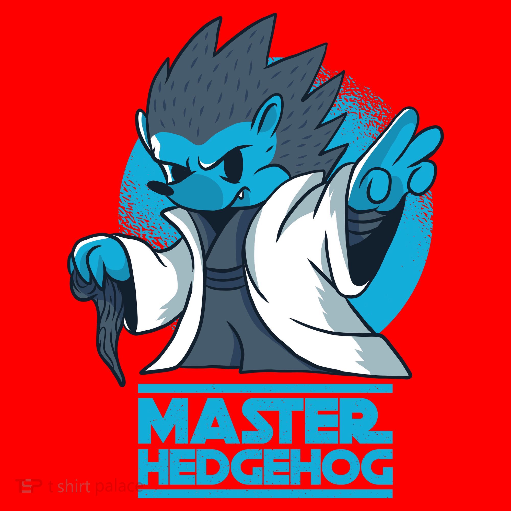 Master Hedgehog Santa Hat