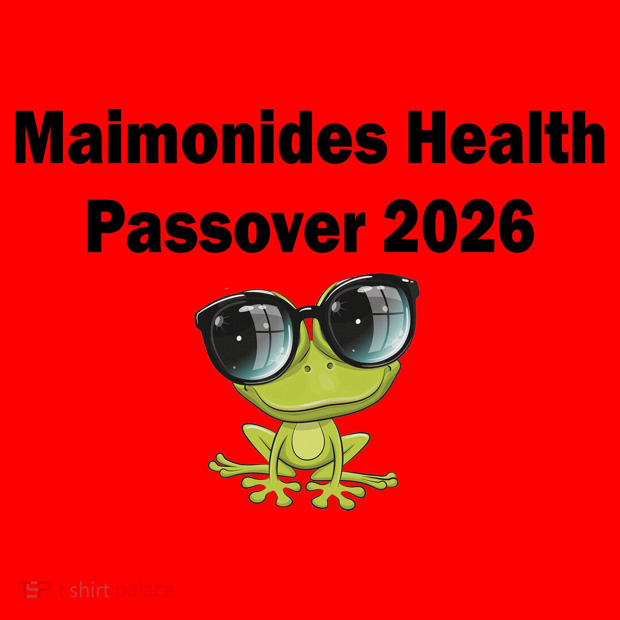 Maimonides Health Passover 2026 Santa Hat