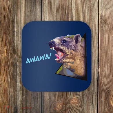 Coaster