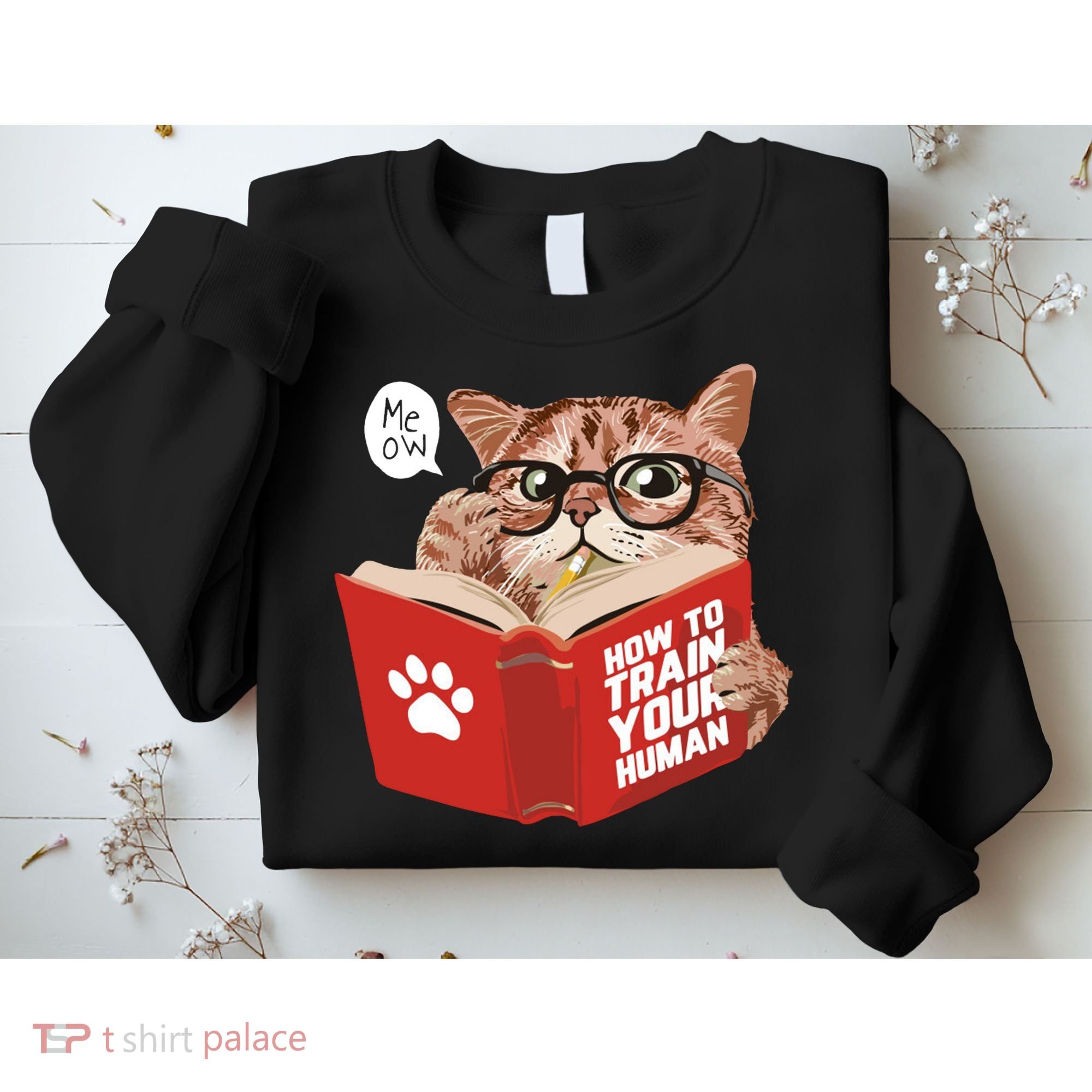 Meow How To Train Your Human Funny Cat Sweatshirt