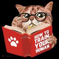 Meow How To Train Your Human Funny Cat Coffee Mug thumb 5