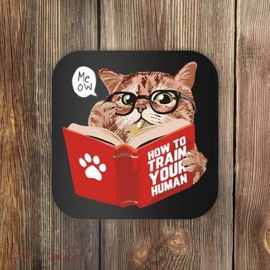 Meow How To Train Your Human Funny Cat Coaster