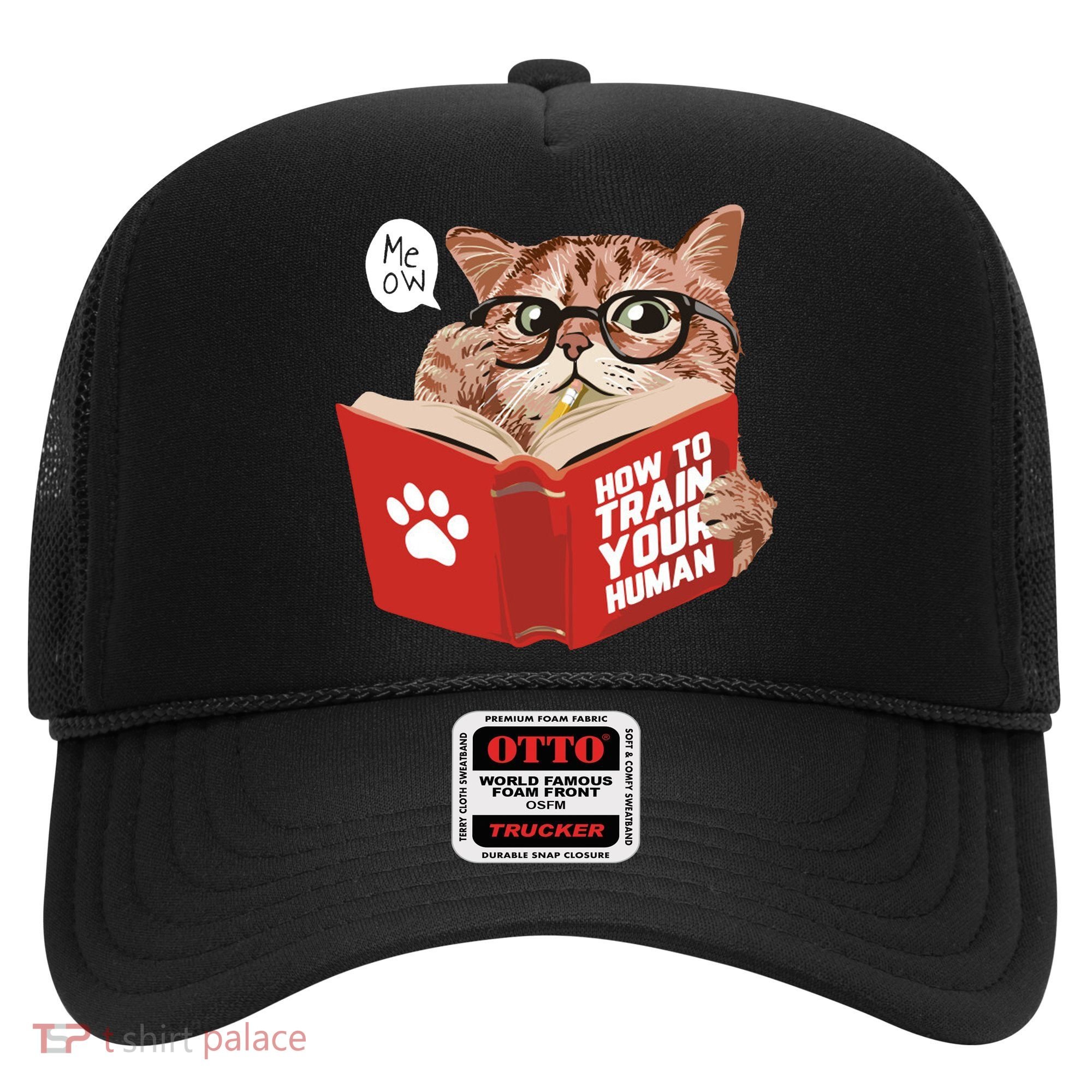Meow How To Train Your Human Funny Cat Hat