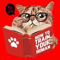 Meow How To Train Your Human Funny Cat Santa Hat thumb 1