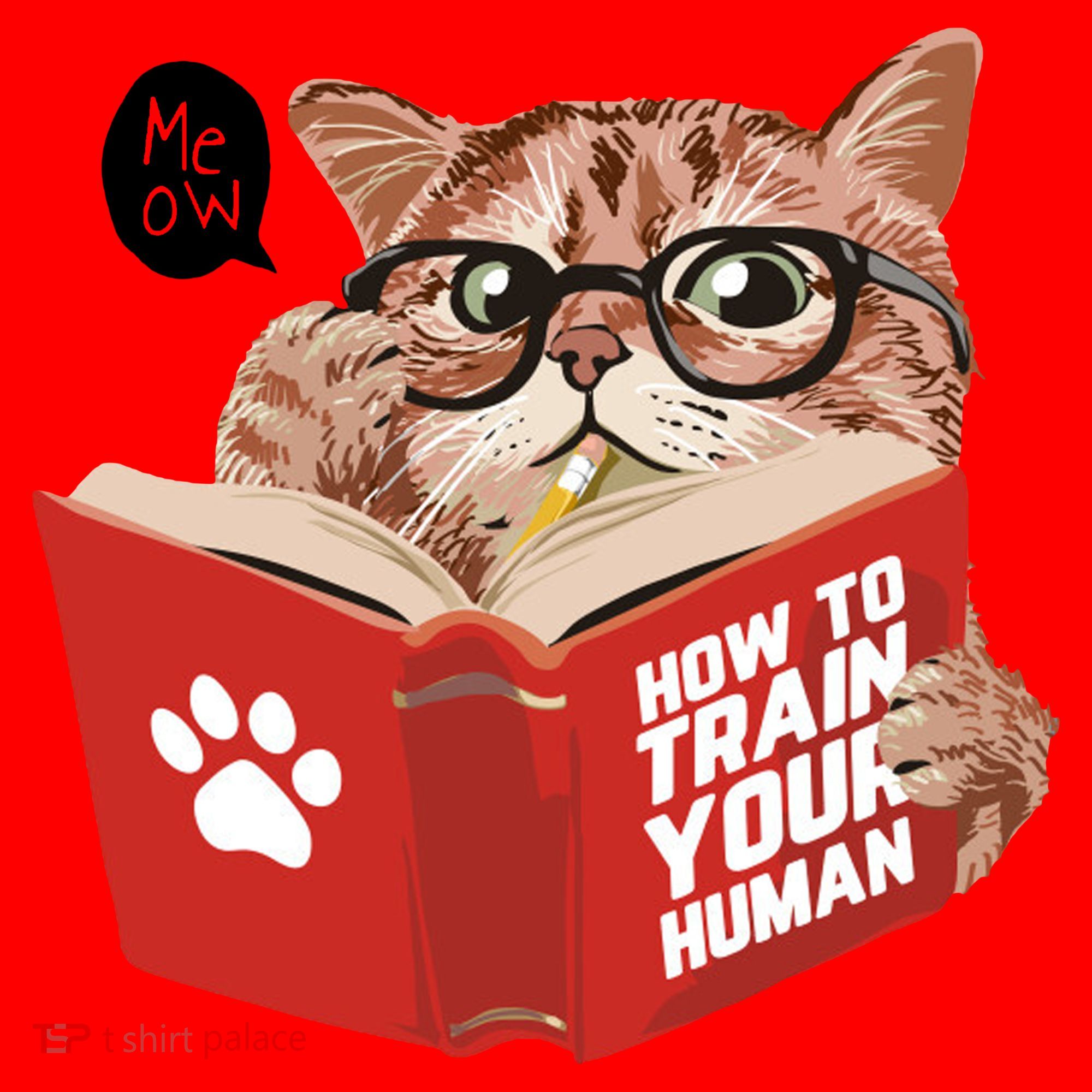 Meow How To Train Your Human Funny Cat Santa Hat