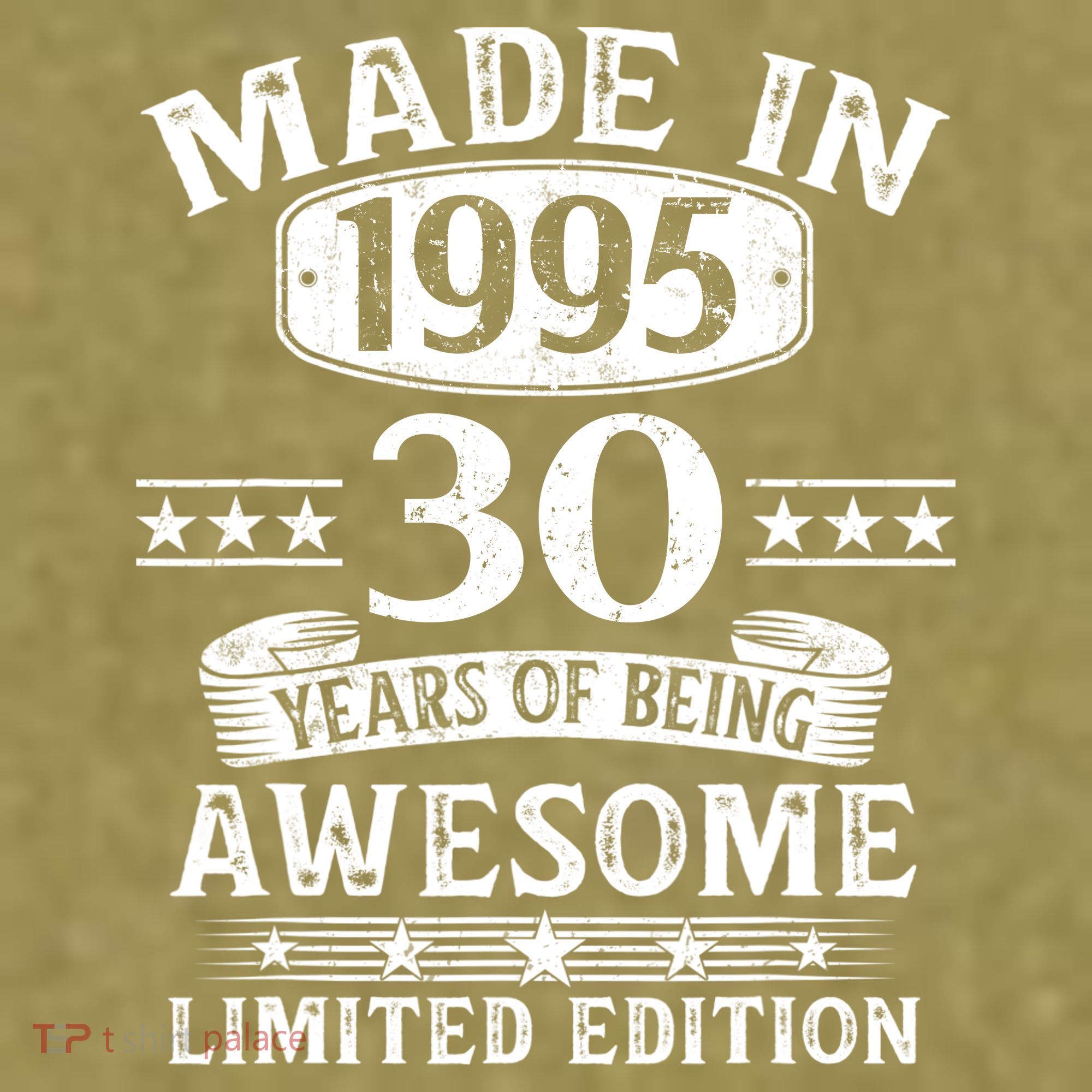 Made In 1995 30 Years Old Gifts 30th Birthday Gift Garment-Dyed Women's Muscle Tee