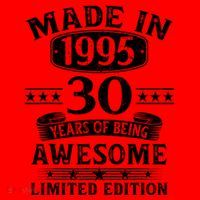 Made In 1995 30 Years Old Gifts 30th Birthday Gift Santa Hat thumb 1