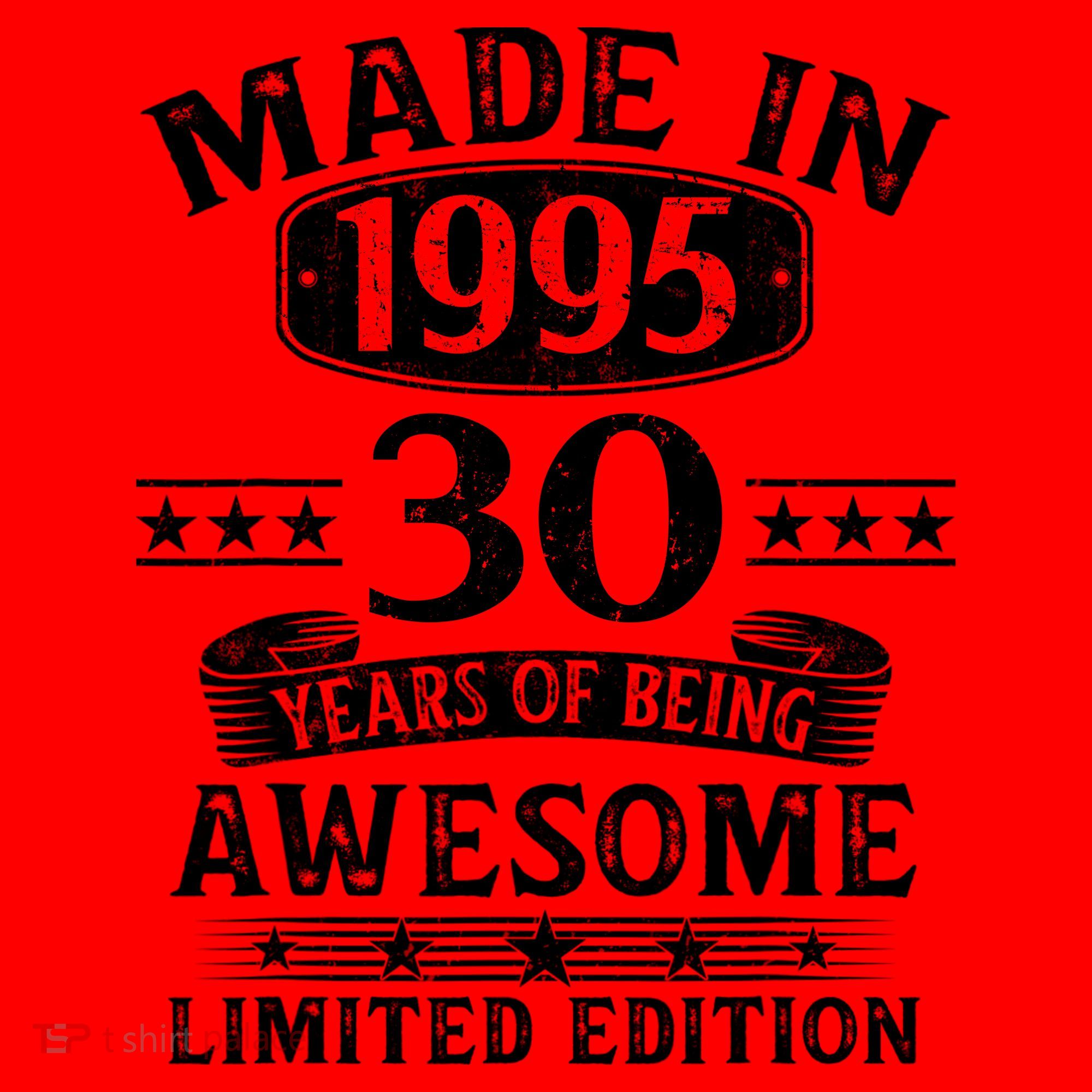 Made In 1995 30 Years Old Gifts 30th Birthday Gift Santa Hat