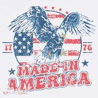 Made In America Usa Flag Eagle 4th Of July Patriotic Freedom T-Shirt thumb 7