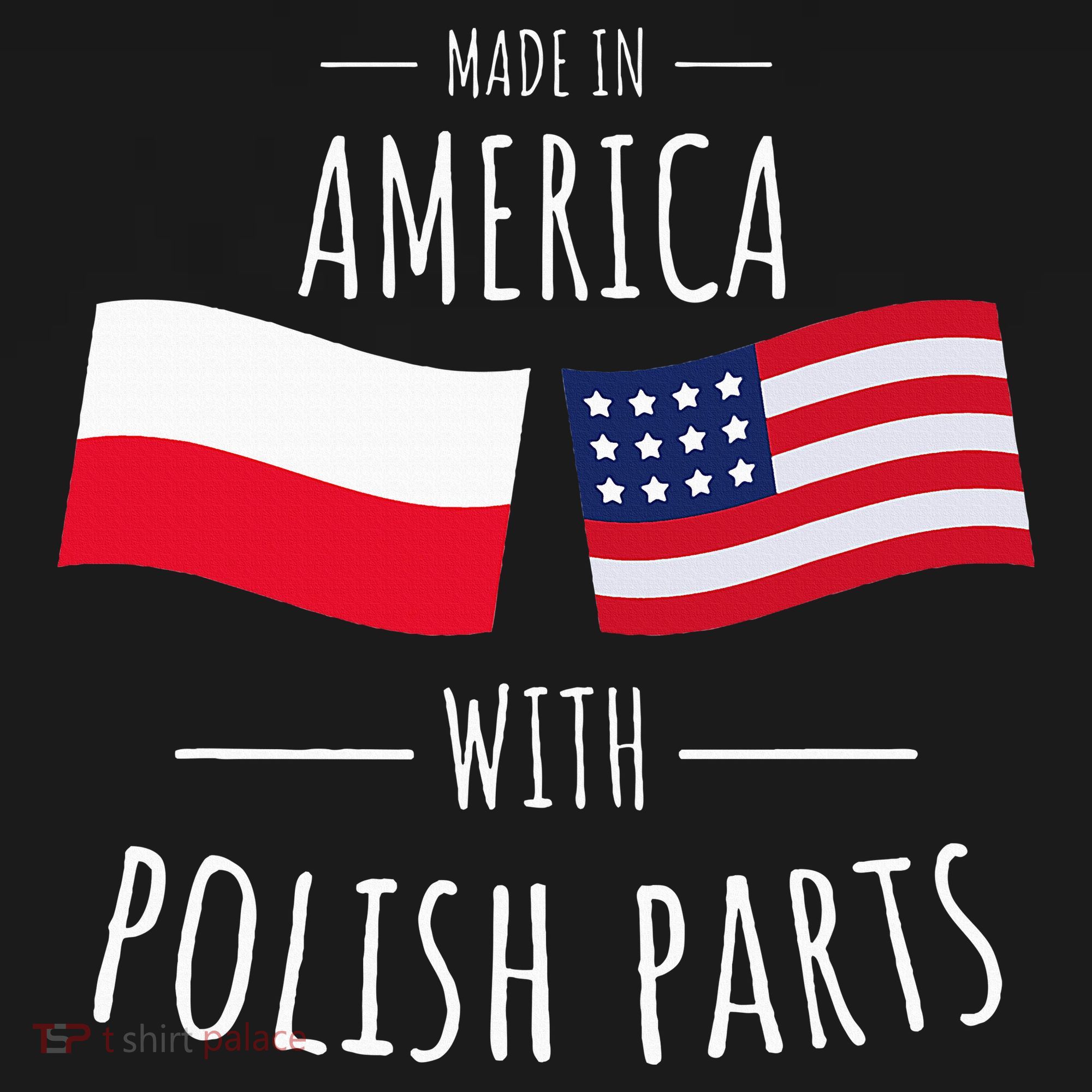 Made In America With Polish Parts Polish American T-Shirt