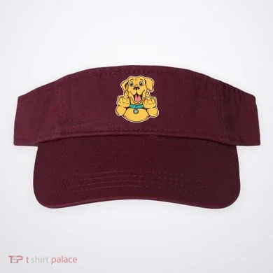 Visor