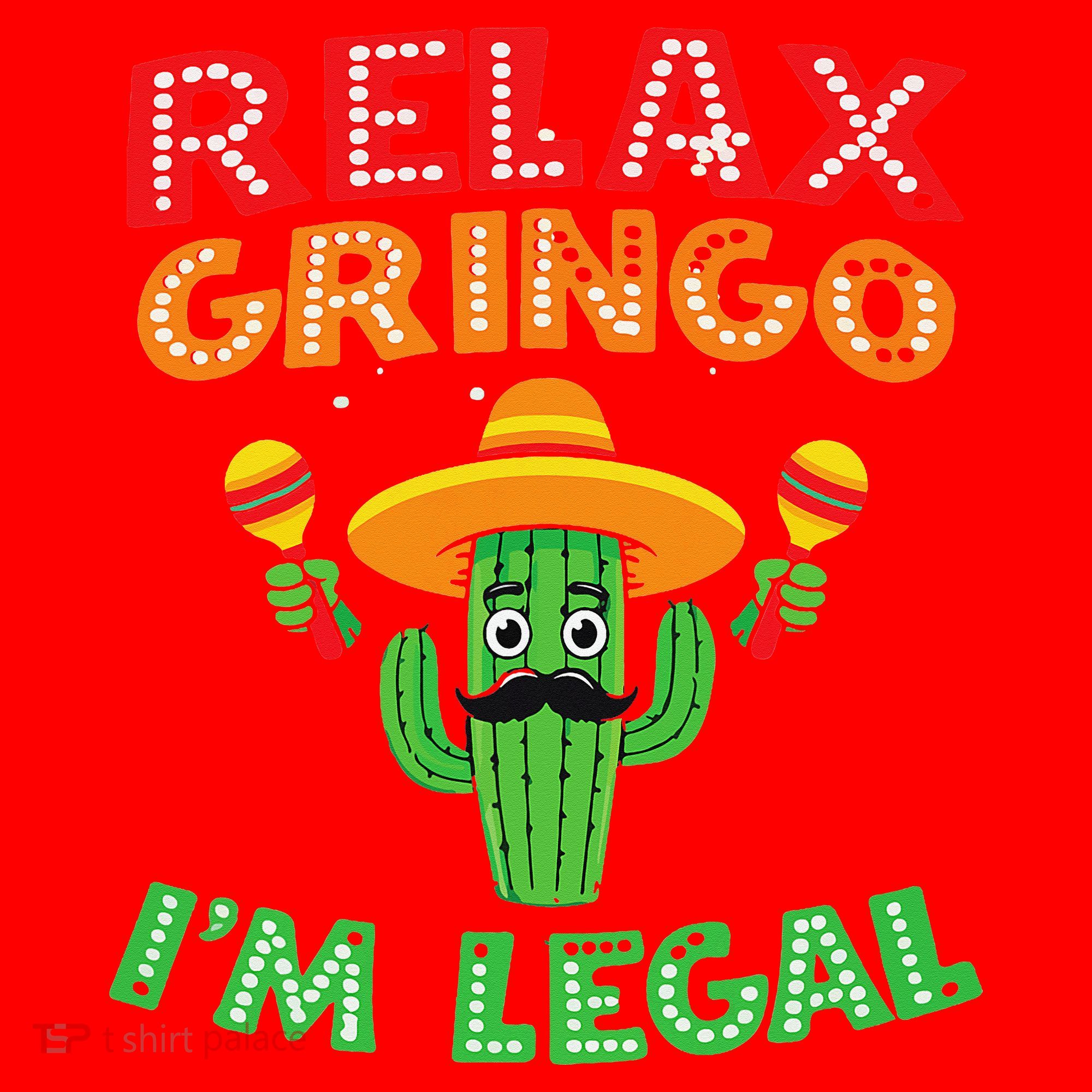 Mexican Immigrant Funny Mexican Women Santa Hat