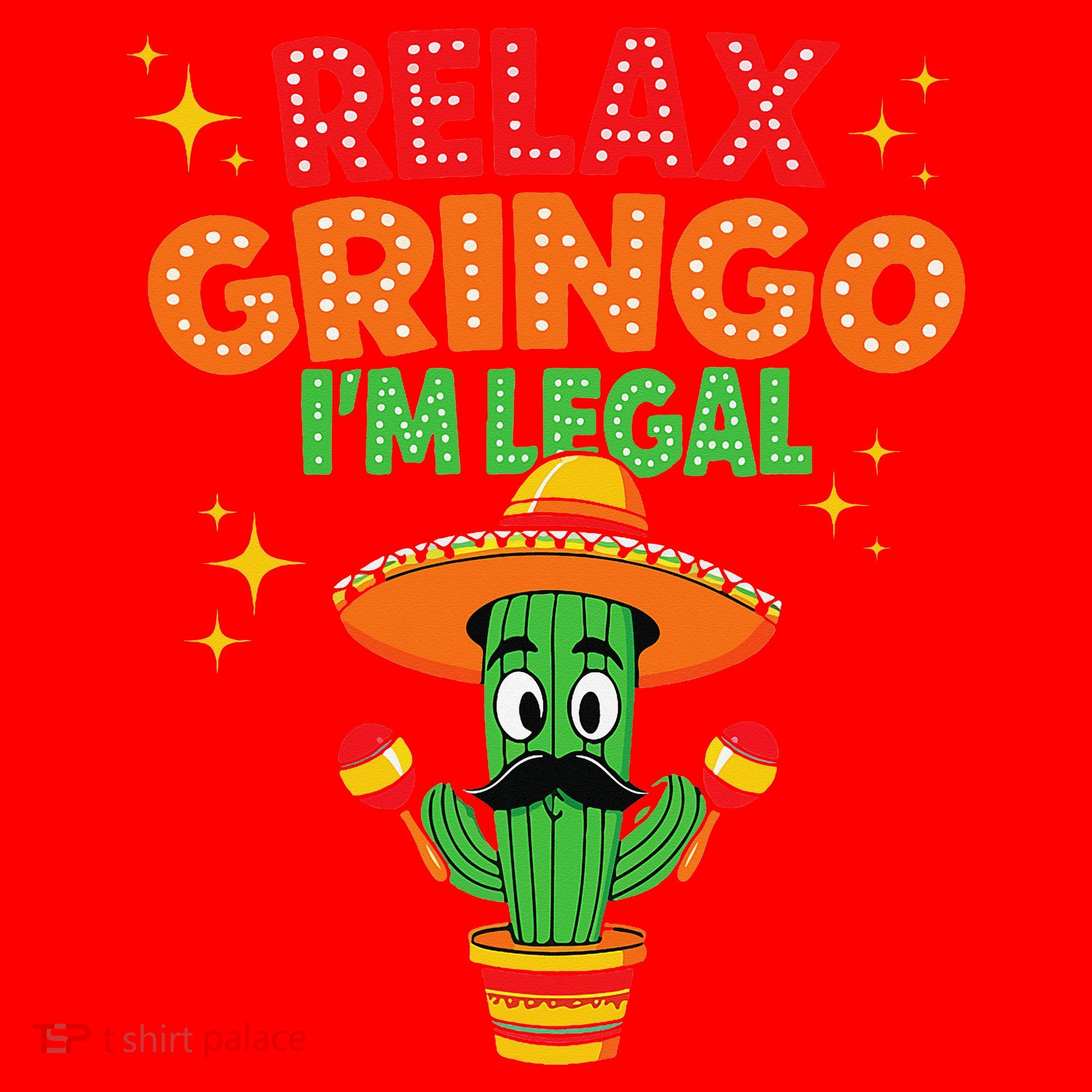 Mexican Immigrant Funny Mexican Women Santa Hat