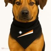 Marshall Islands Flag Majuro USA-Made Doggie Bandana thumb 1