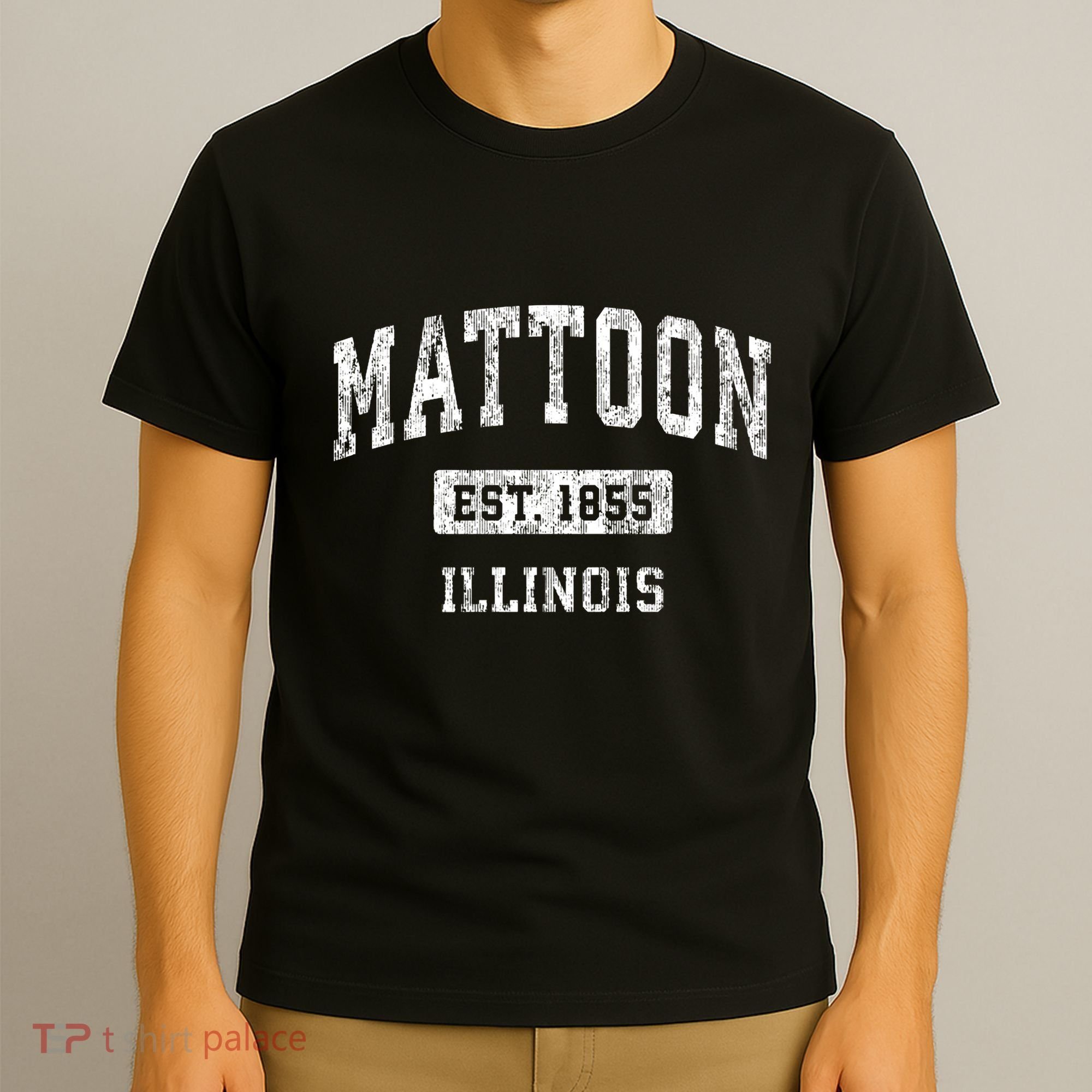 Mattoon Illinois Il Vintage Sports Established T-Shirt