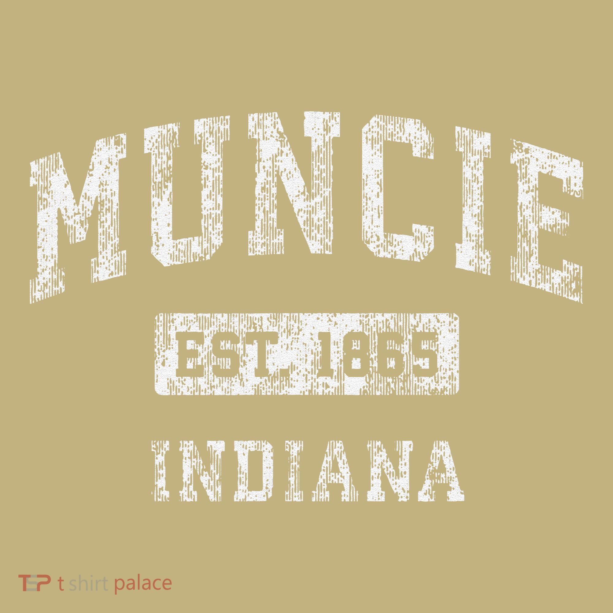 Muncie Indiana In Vintage Established T-Shirt