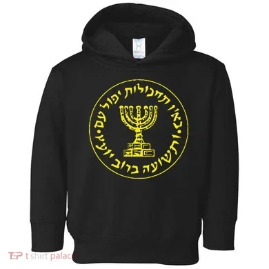 Toddler Hoodie