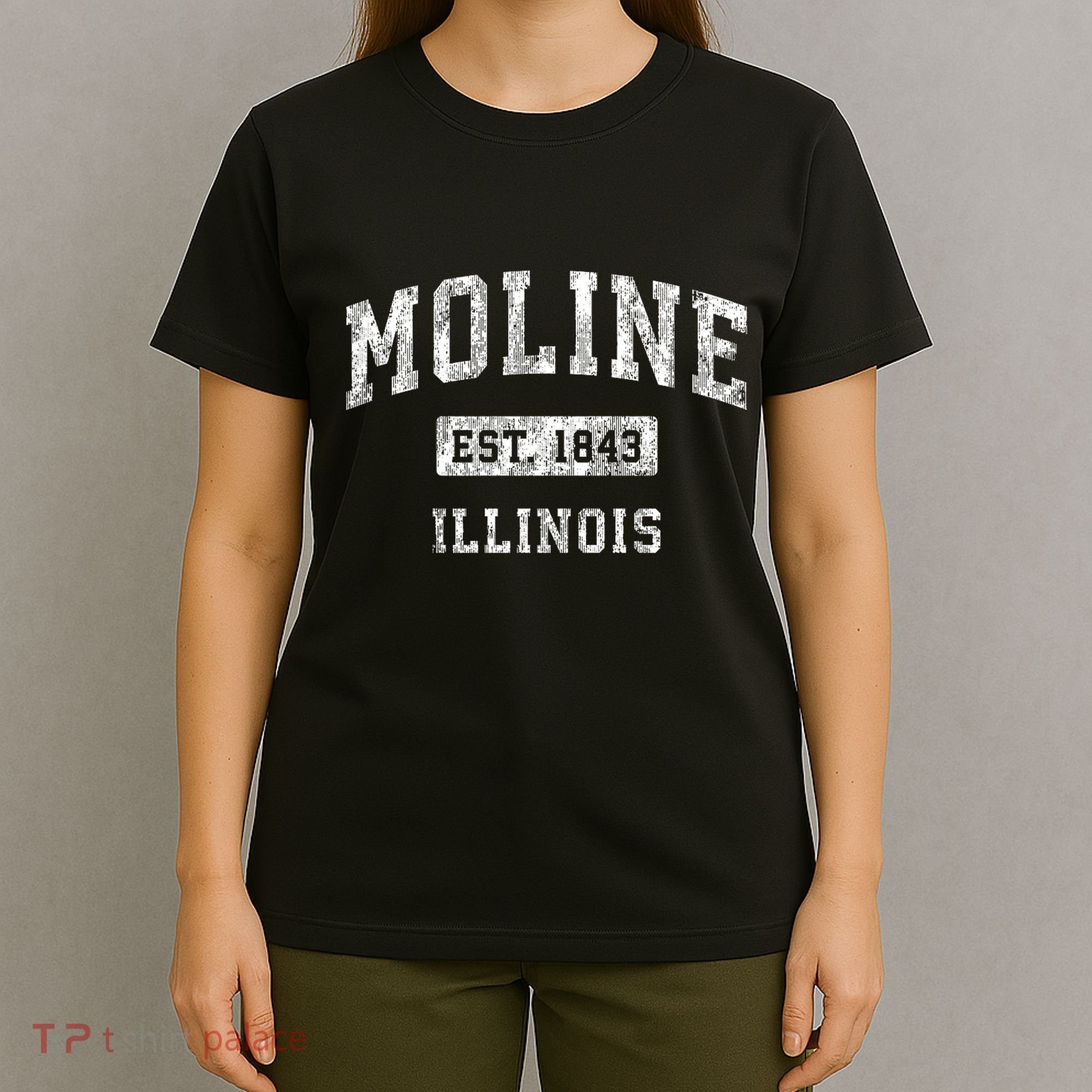 Moline Illinois Il Vintage Established Sports T-Shirt