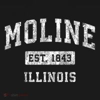Moline Illinois Il Vintage Established Sports T-Shirt thumb 7