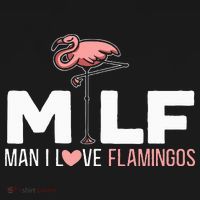 Man I Love Flamingos Bird Lover Summer Women's Hoodie thumb 2