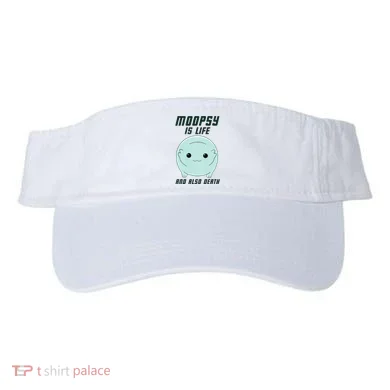 Visor