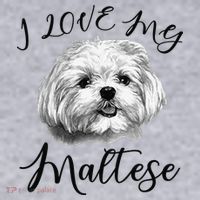 Maltese I Love My Maltese Dog Women's Sweatshirt thumb 2