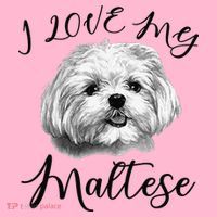 Maltese I Love My Maltese Dog Coaster thumb 2