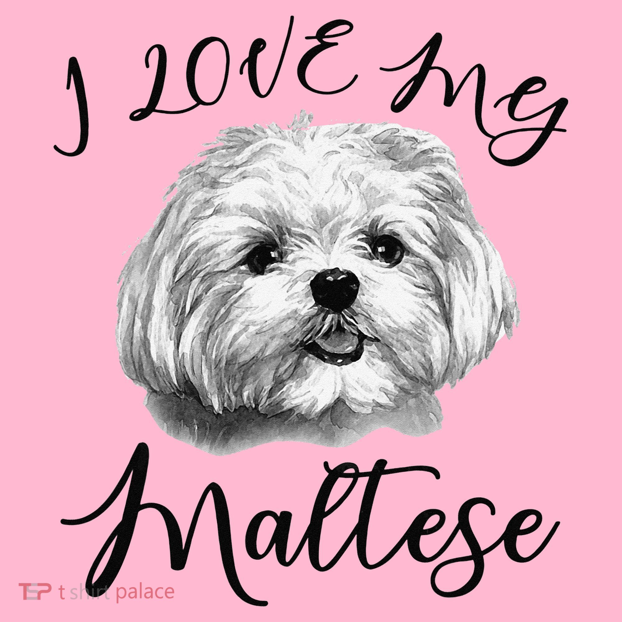 Maltese I Love My Maltese Dog Coaster
