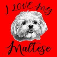 Maltese I Love My Maltese Dog Santa Hat thumb 1
