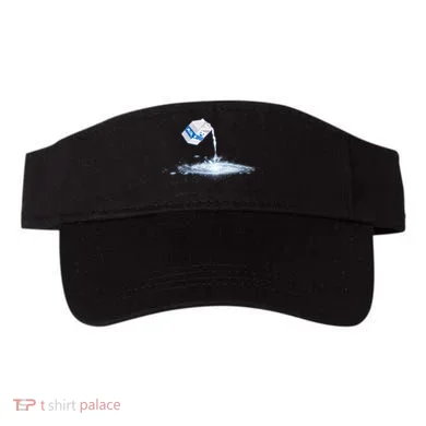 Visor