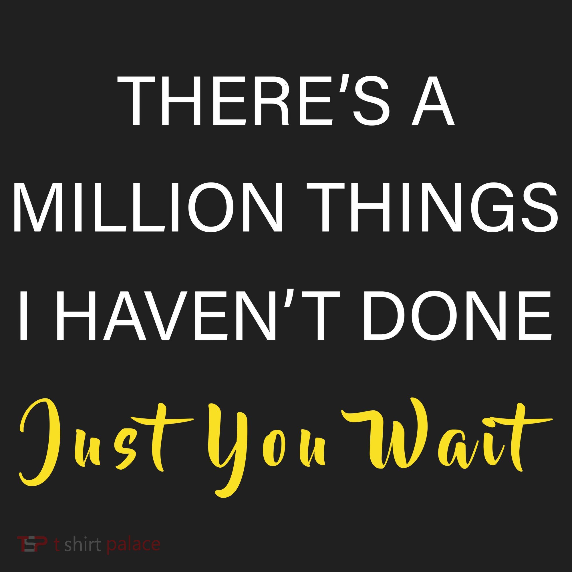 Million Things I Haven't Done You Just Wait Tumbler