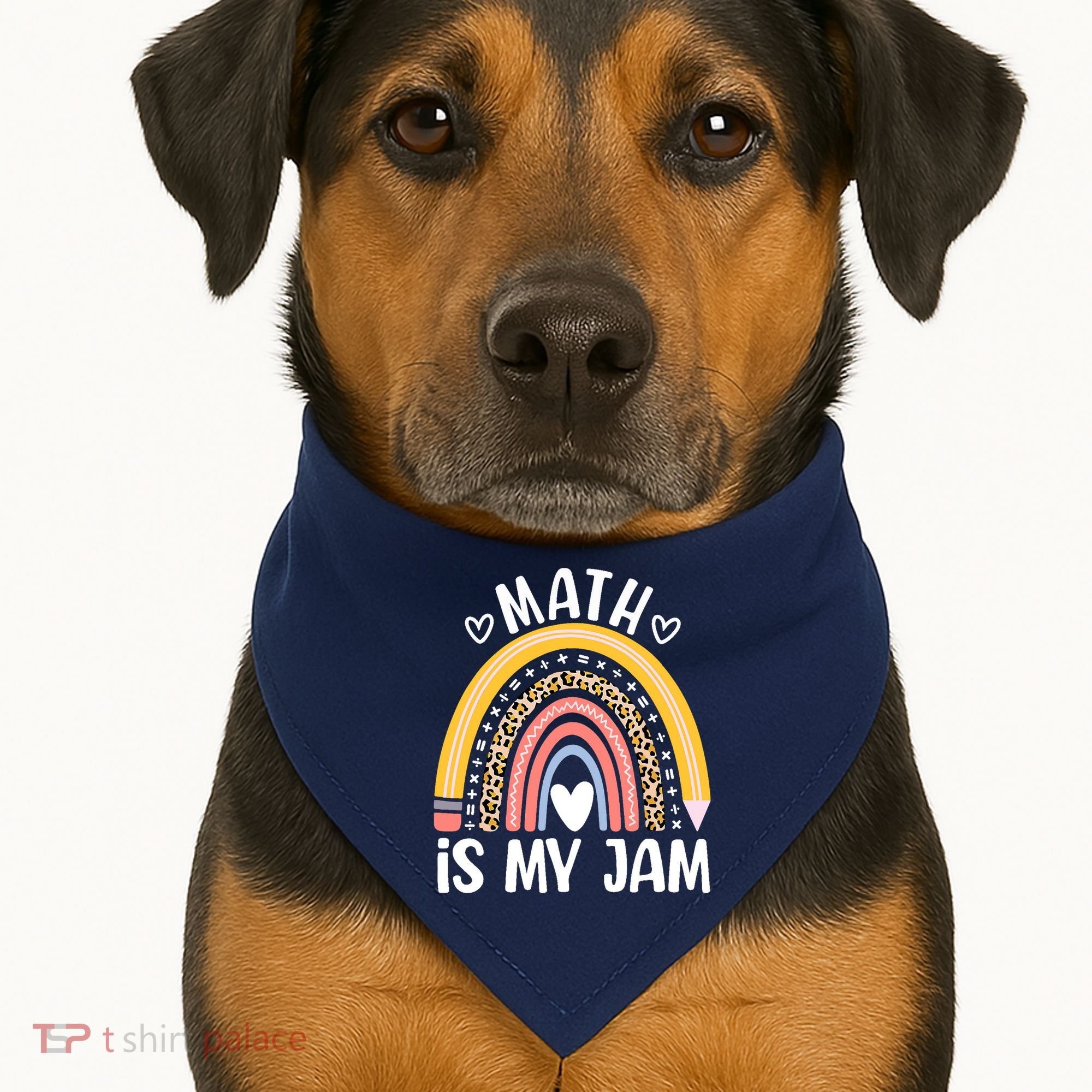 Math Is My Jam First Day Back To School Math Teacher Student USA-Made Doggie Bandana