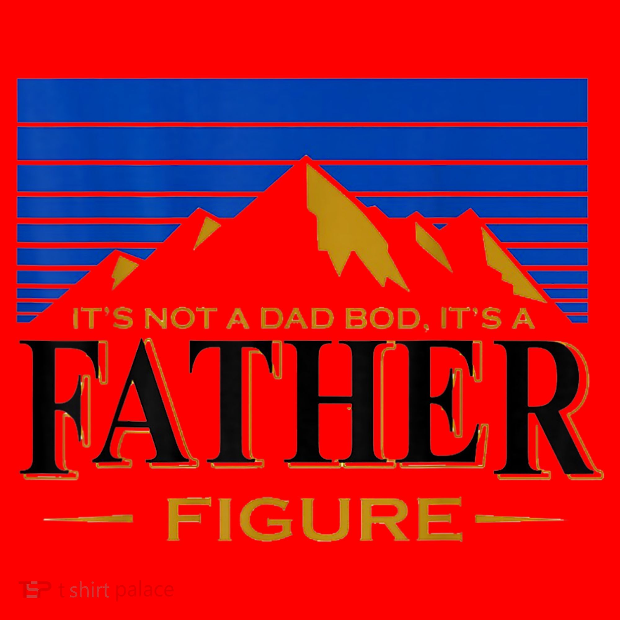 Mens It's Not A DAD BOD It's A Father Figure Funny DAD Drink Beer Santa Hat