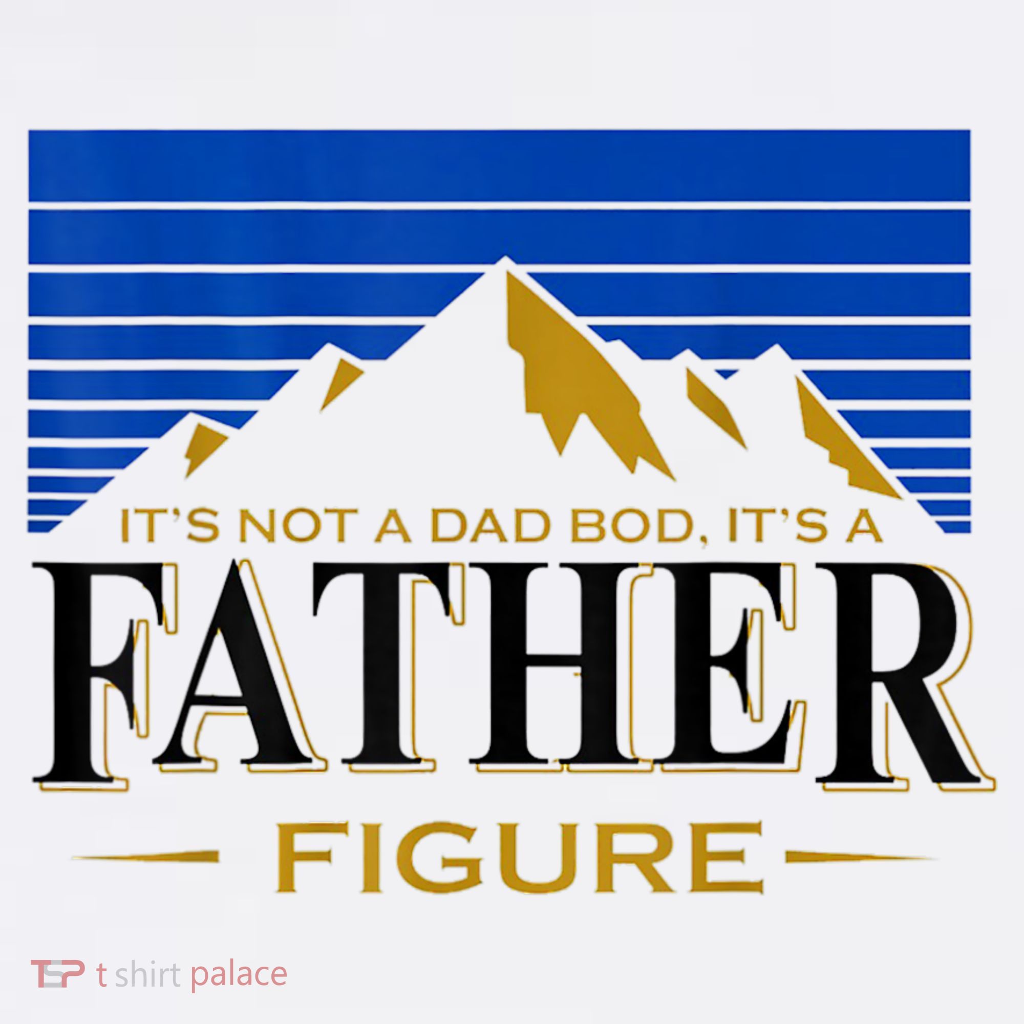 Mens It's Not A DAD BOD It's A Father Figure Funny DAD Drink Beer Women's Hoodie