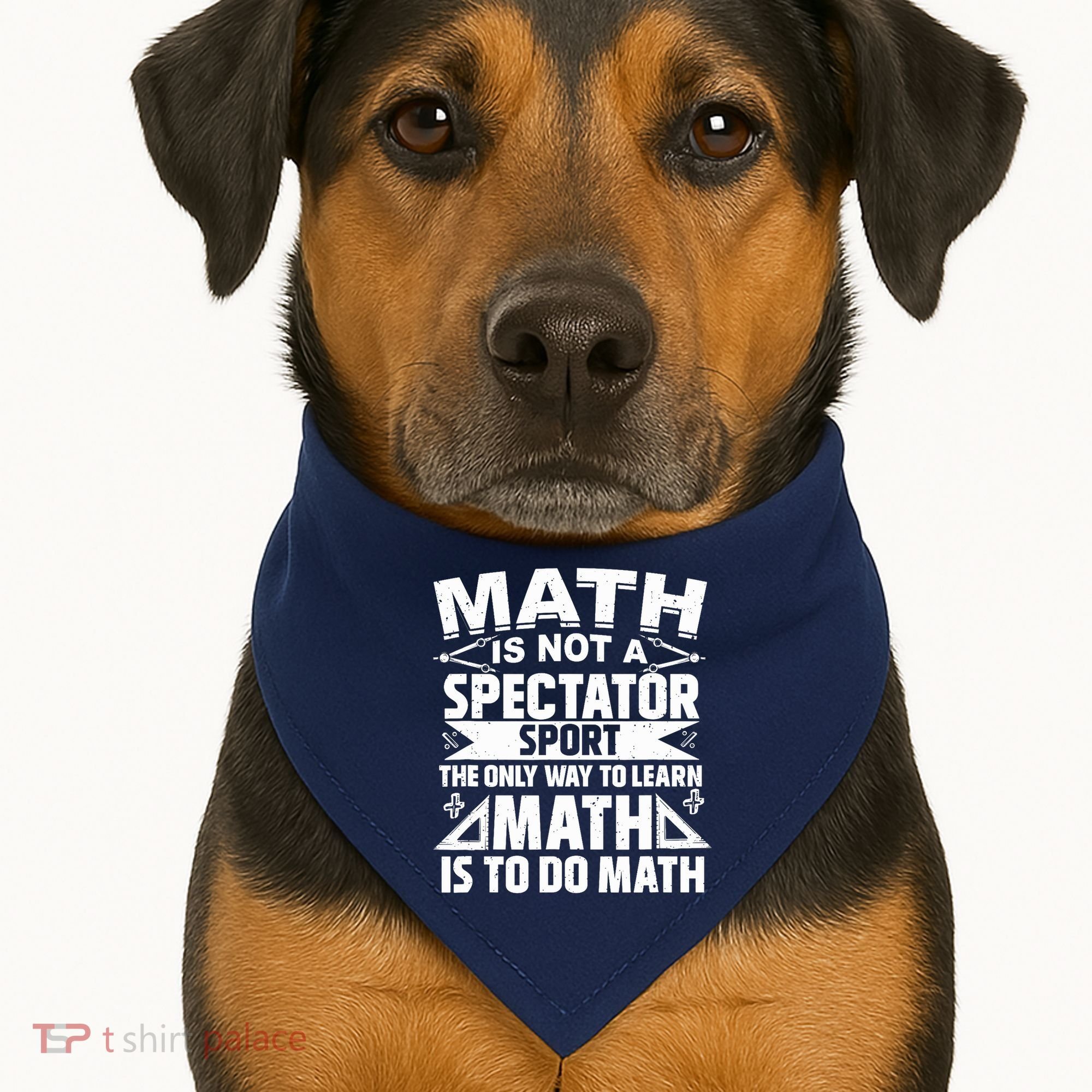 Math Is Not A Spectator Sport Mathematician Math Teacher USA-Made Doggie Bandana