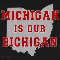 Michigan Is Our Bichigan Funny Ohio  Women's Hoodie thumb 2