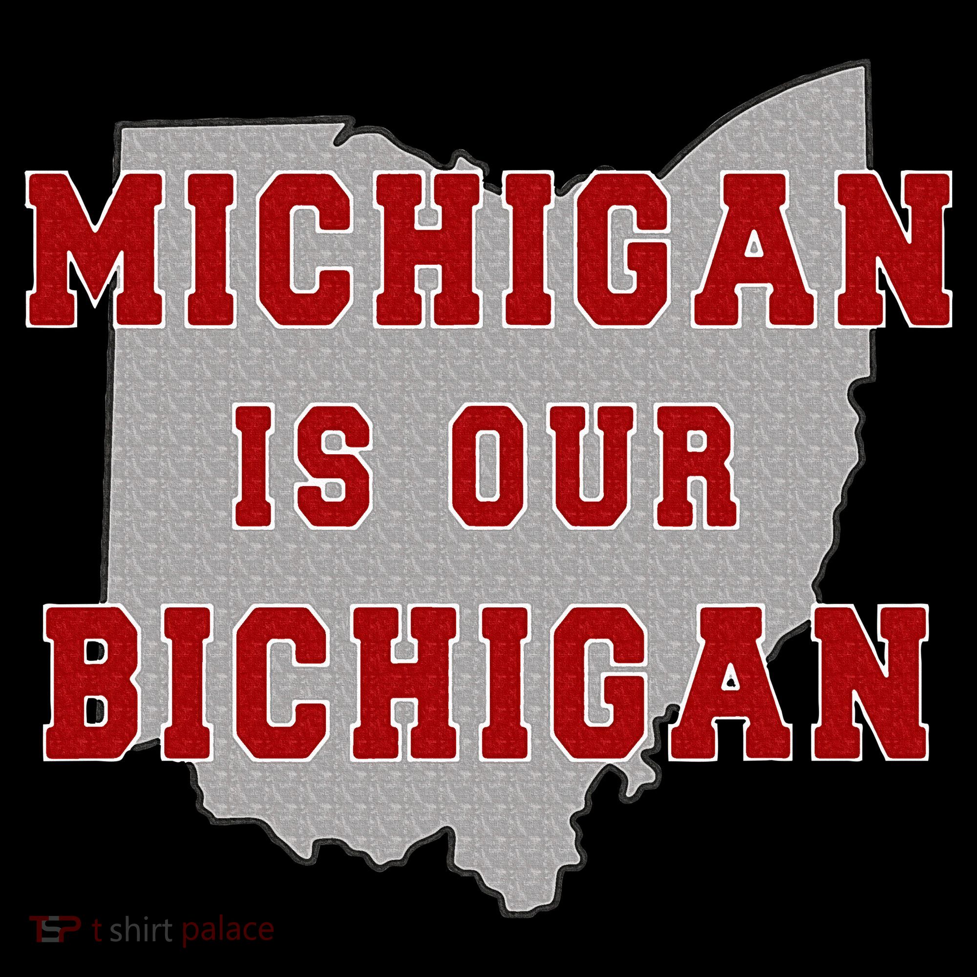 Michigan Is Our Bichigan Funny Ohio  Women's Hoodie
