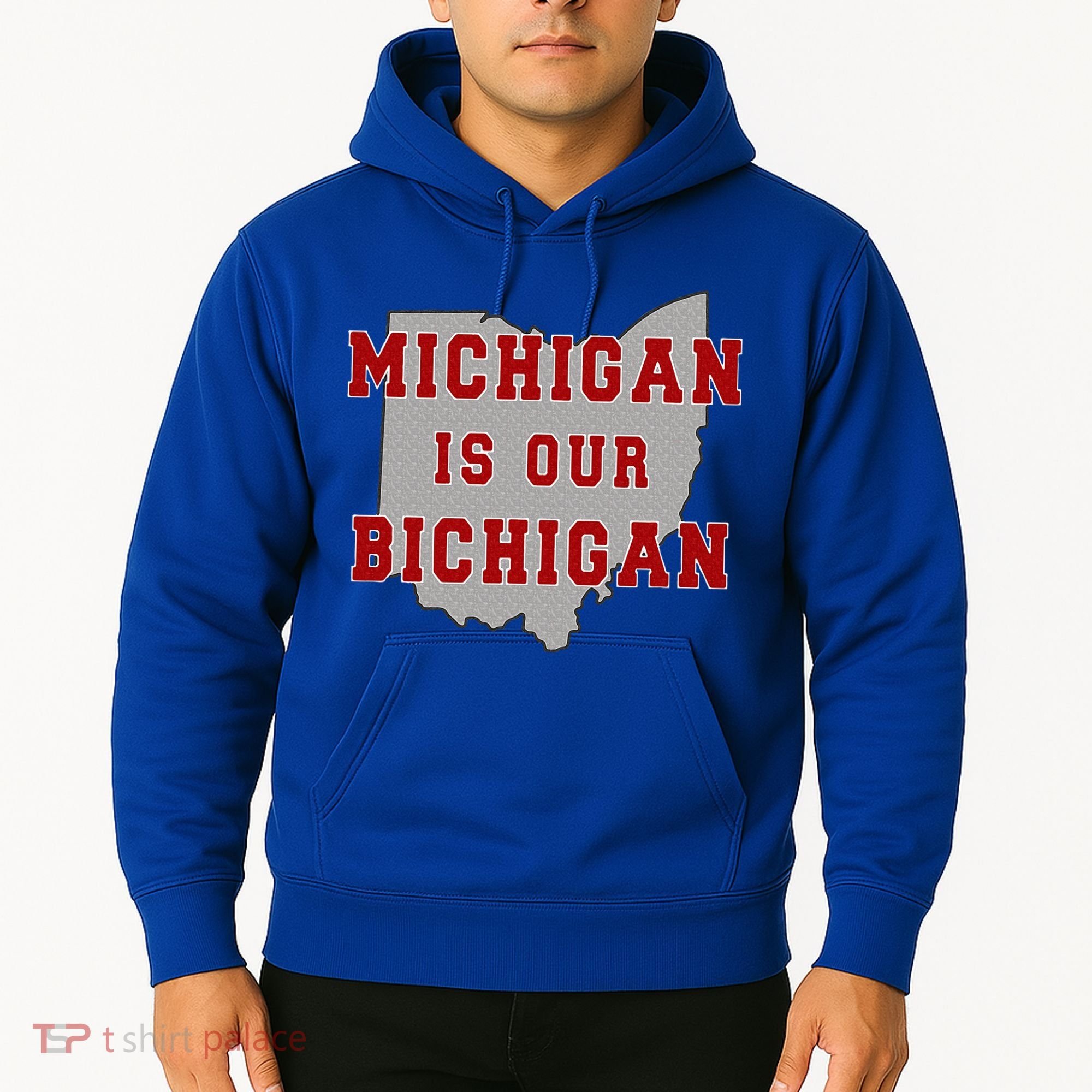 Michigan Is Our Bichigan Funny Ohio  Hoodie