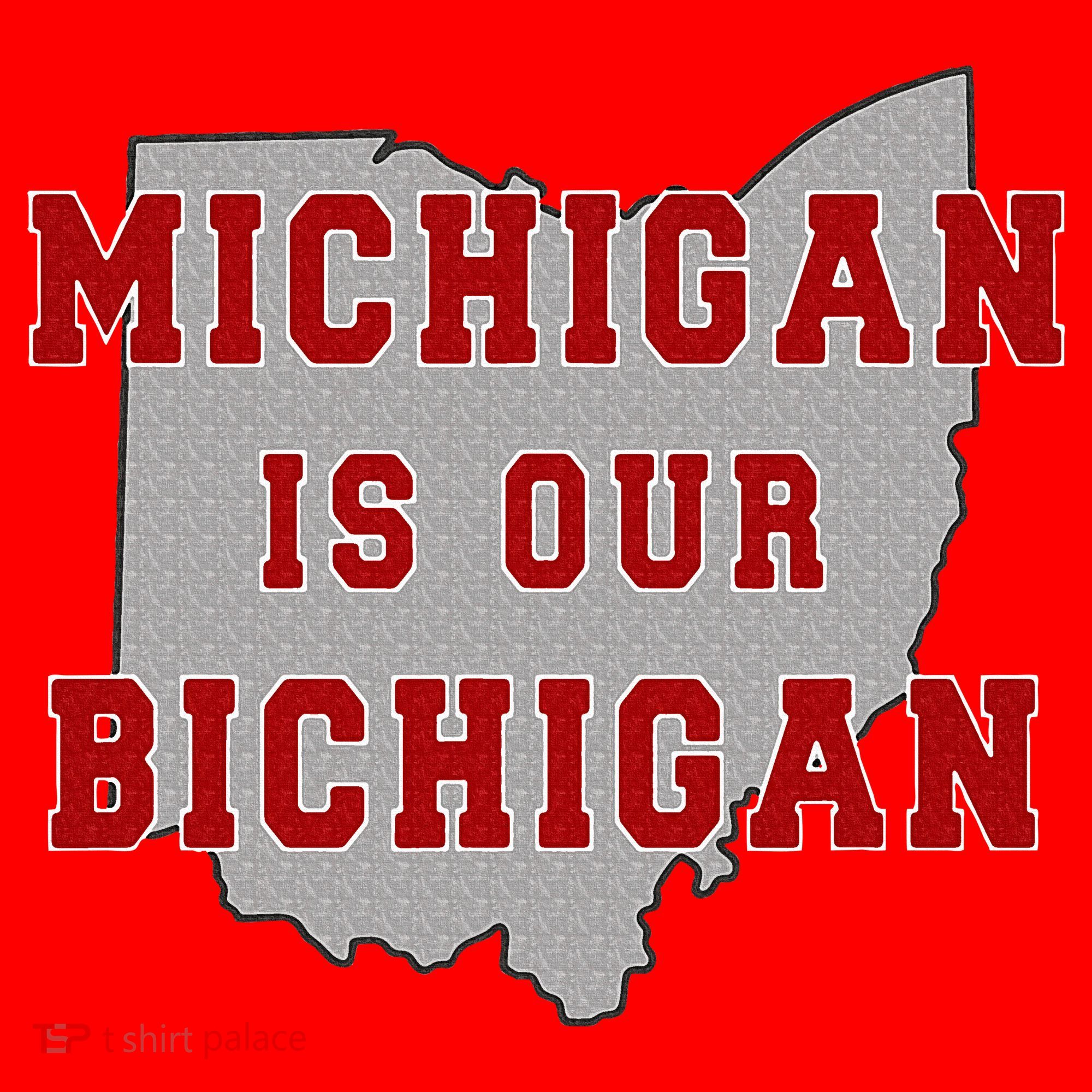 Michigan Is Our Bichigan Funny Ohio  Santa Hat