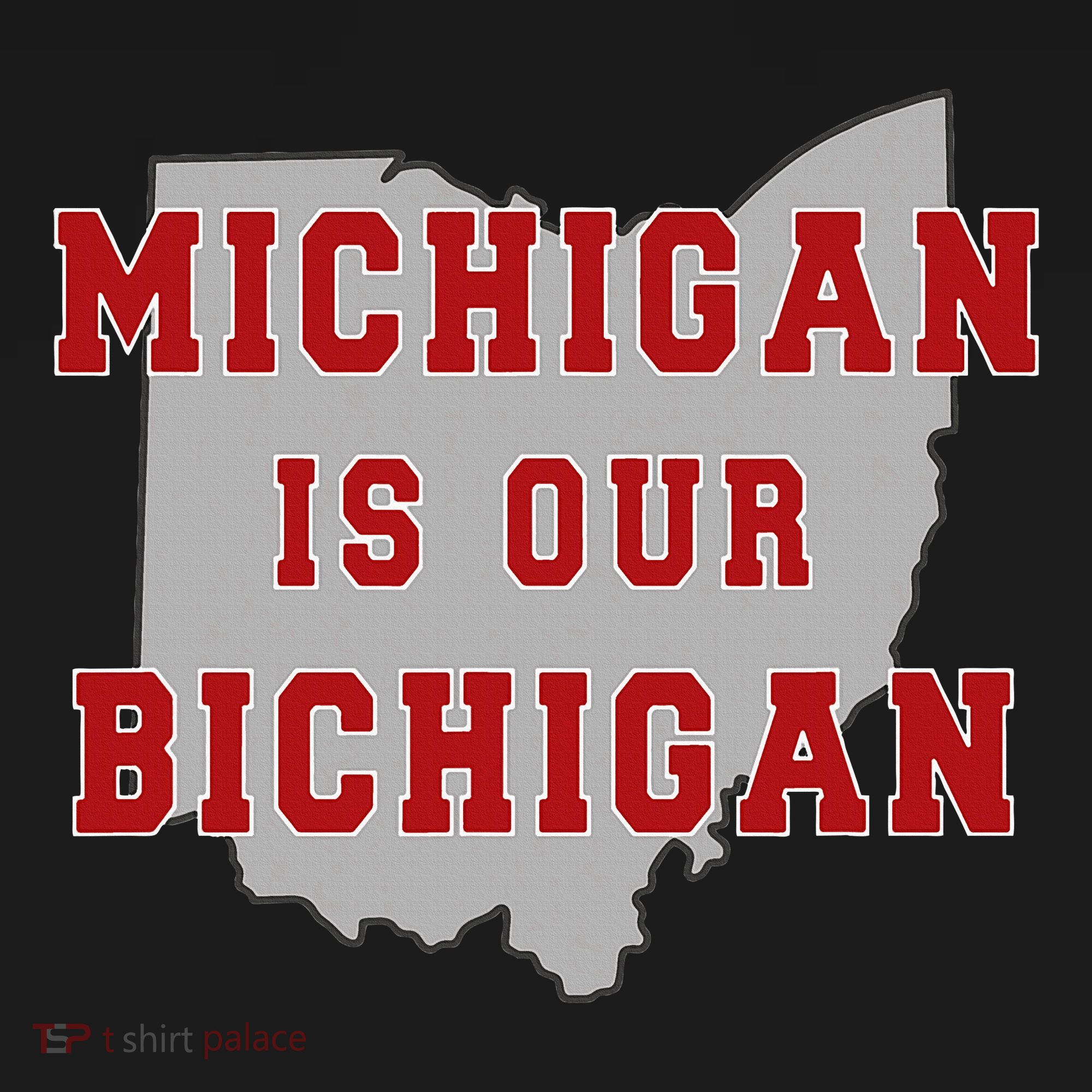 Michigan Is Our Bichigan Funny Ohio Sweatshirt