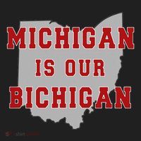 Michigan Is Our Bichigan Funny Ohio Golf Towel thumb 3