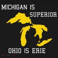 Michigan Is Superior Ohio Is Erie Long Sleeve Shirt thumb 2