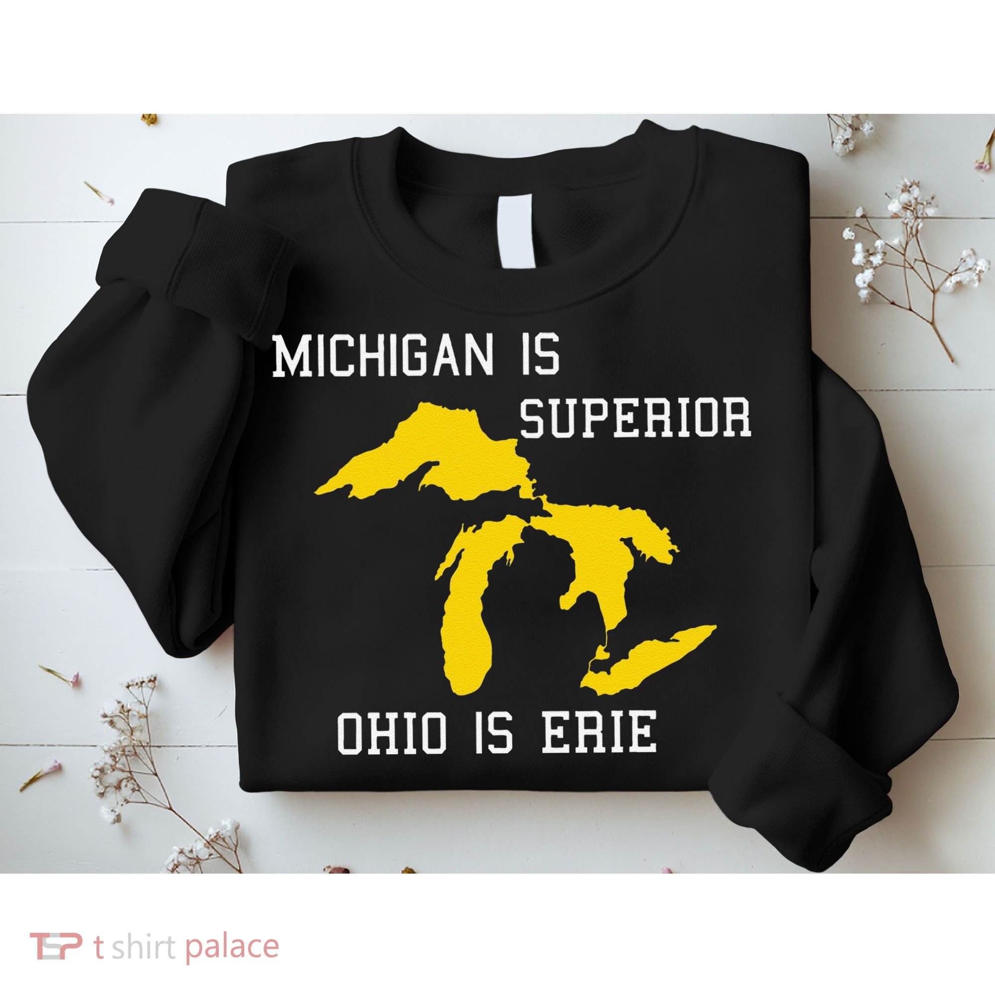 Michigan Is Superior Ohio Is Erie Sweatshirt