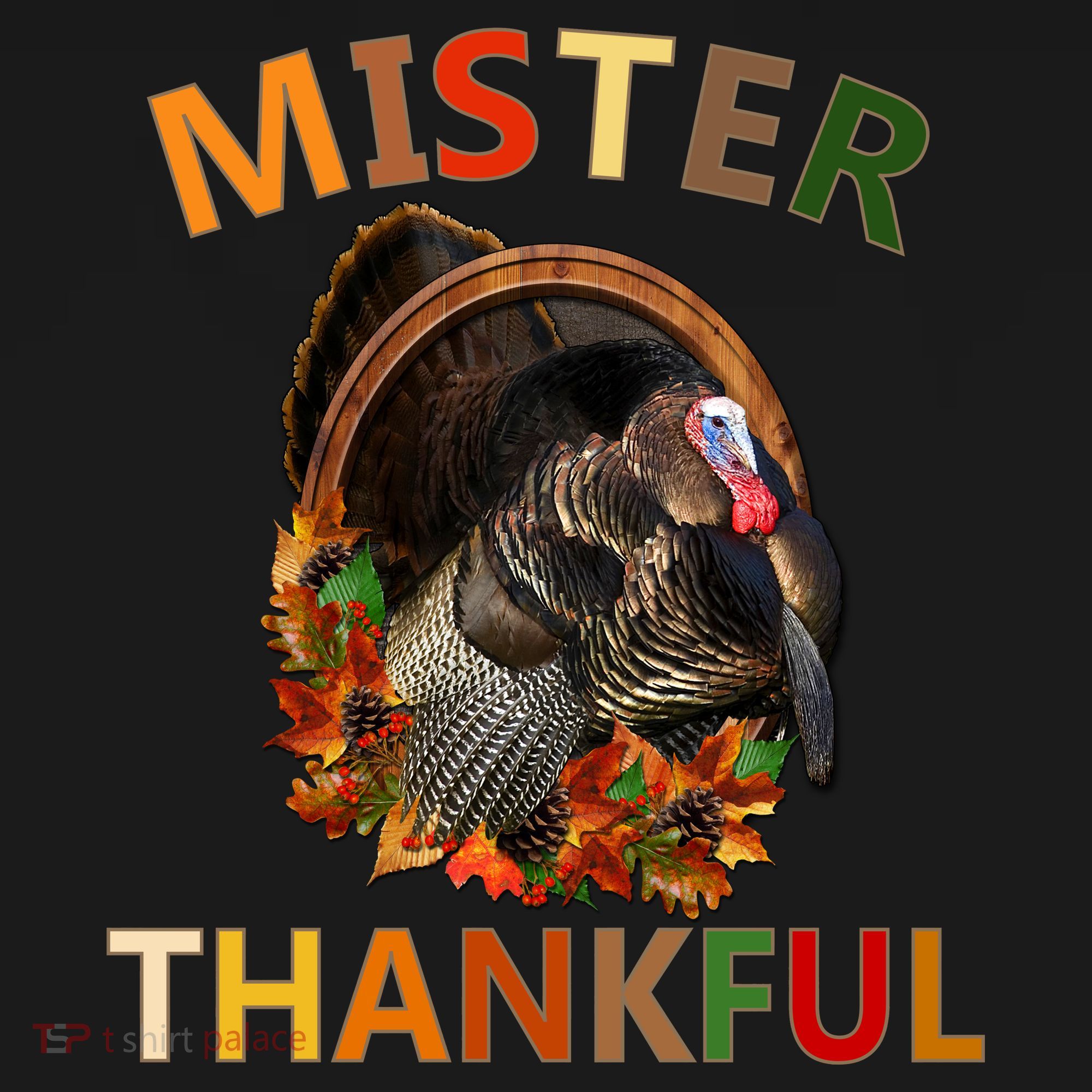 Mister Thankful Thanksgiving Turkey Toddler Hoodie