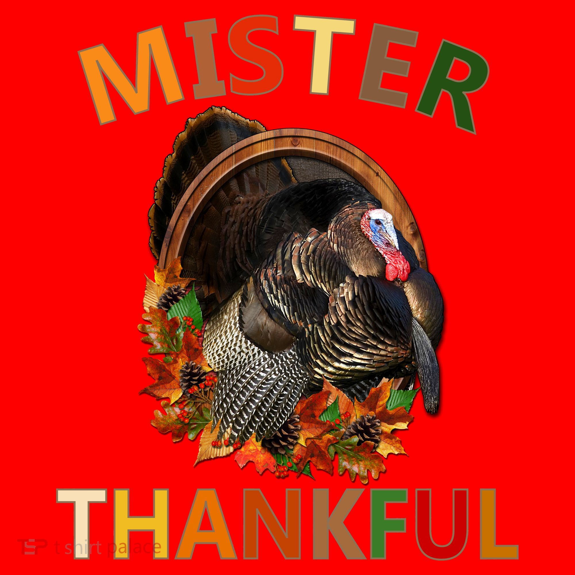Mister Thankful Thanksgiving Turkey Santa Hat