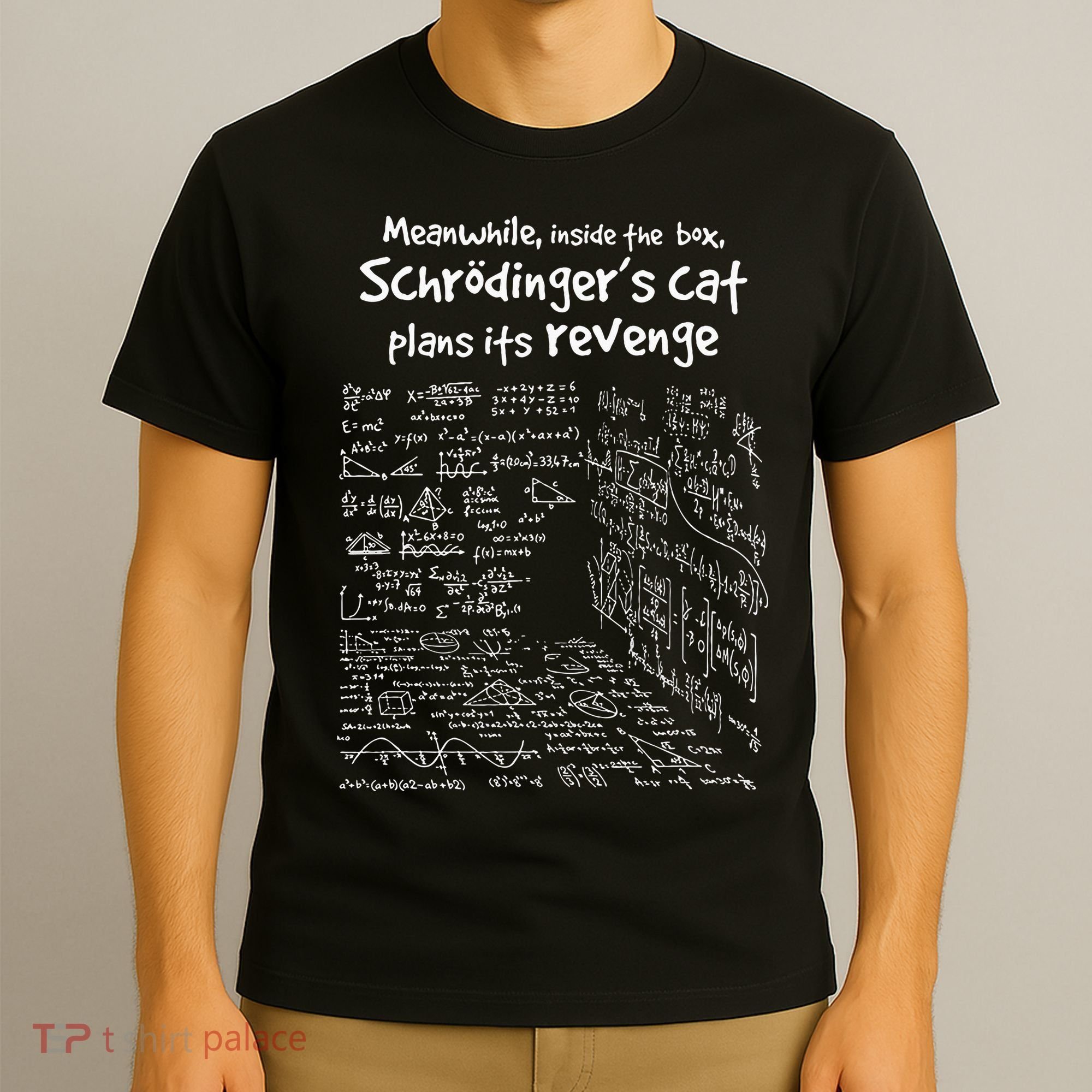 Meanwhile Inside The Box SchrodingerS Cat Plans Its Revenge T-Shirt