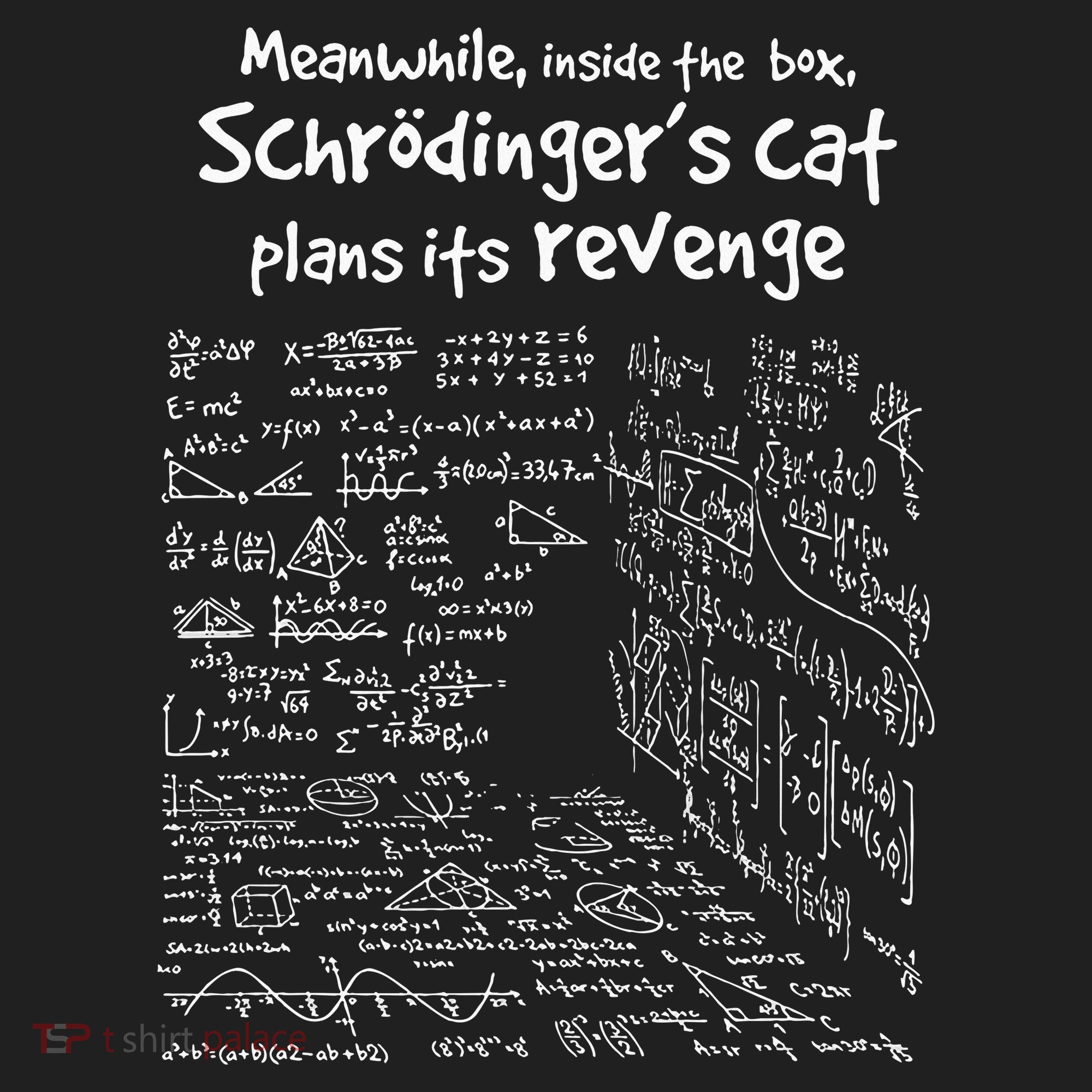 Meanwhile Inside The Box SchrodingerS Cat Plans Its Revenge Tumbler