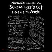 Meanwhile Inside The Box SchrodingerS Cat Plans Its Revenge Women's Tank Top thumb 5