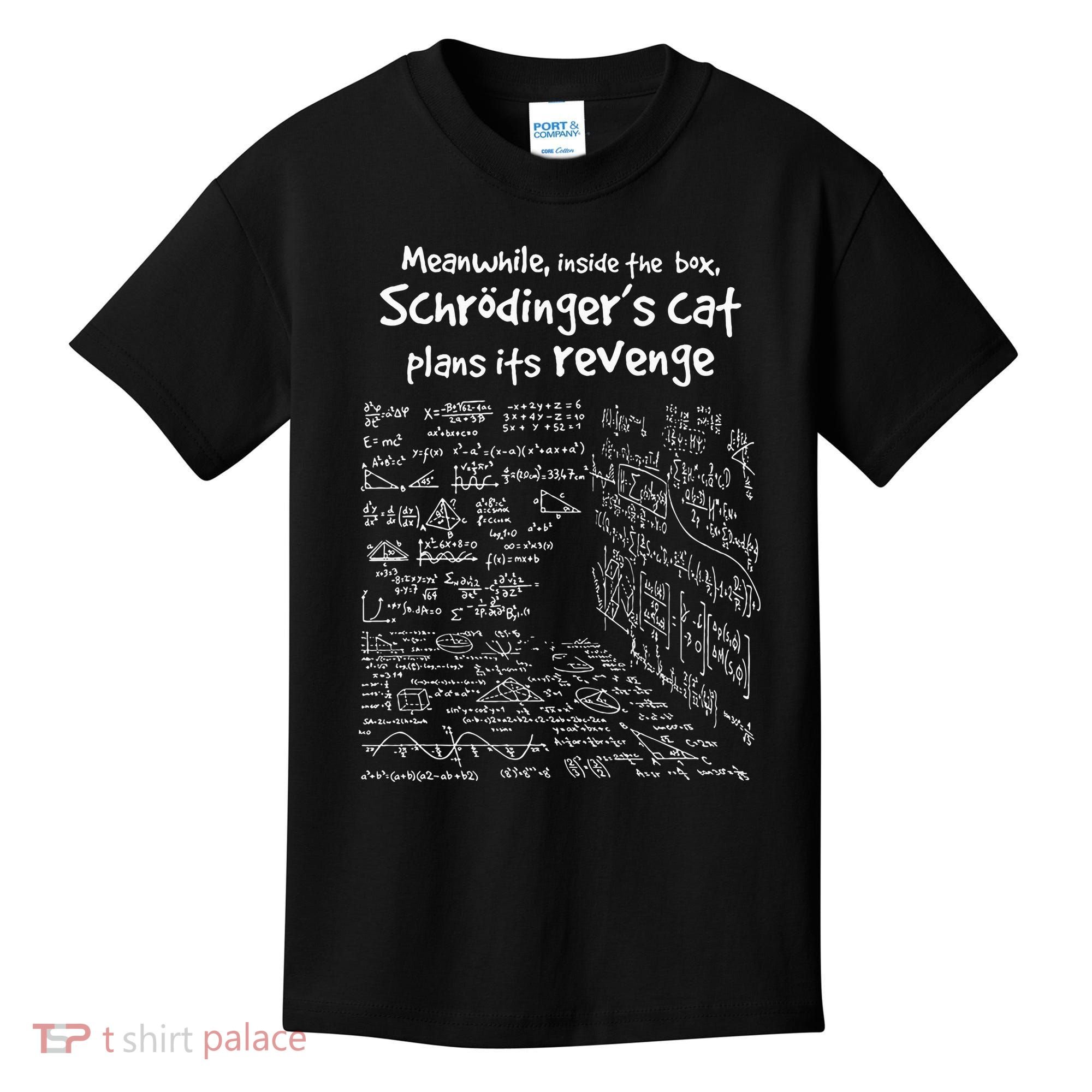 Meanwhile Inside The Box SchrodingerS Cat Plans Its Revenge Kids T-Shirt