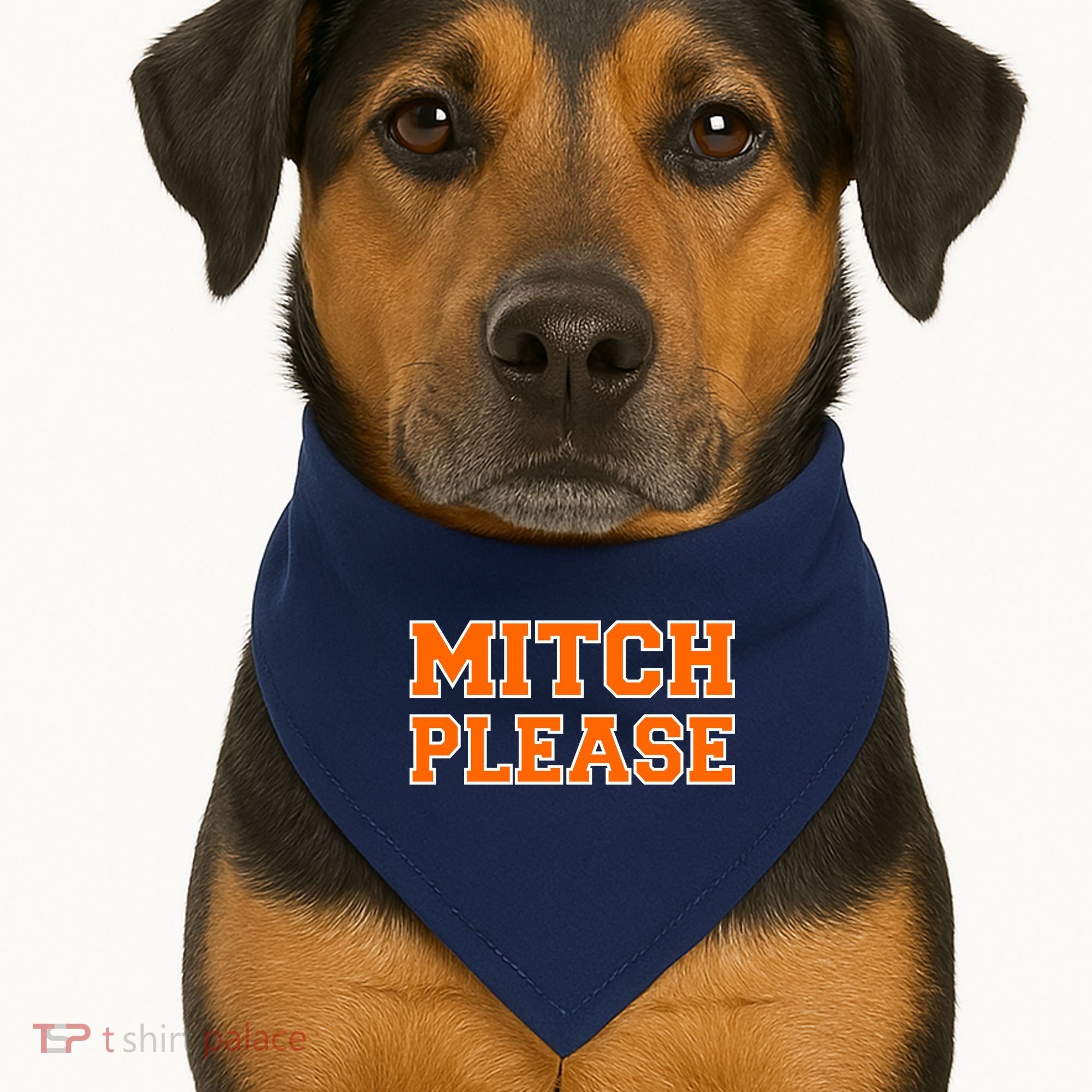 Mitch Please USA-Made Doggie Bandana